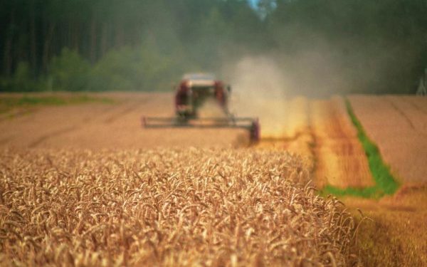 Ucraina cere UE 220 mil. euro pentru fermieri