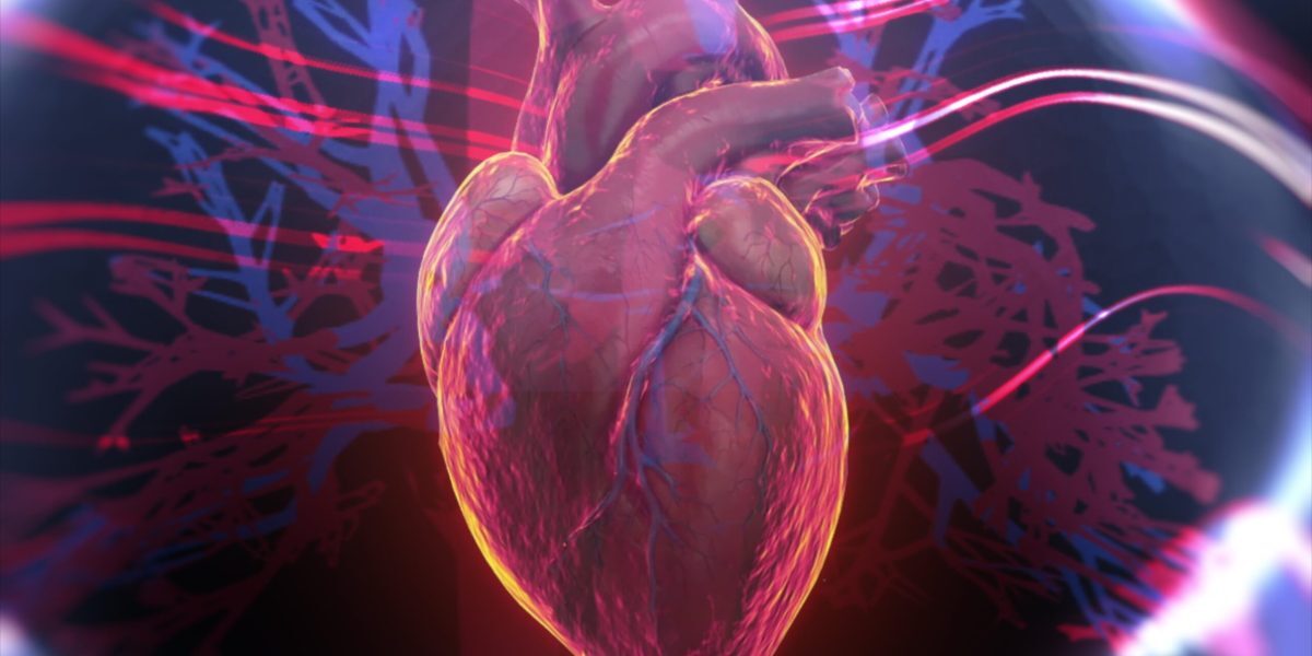 Cadavre digitale, viitorul disecției clasice?