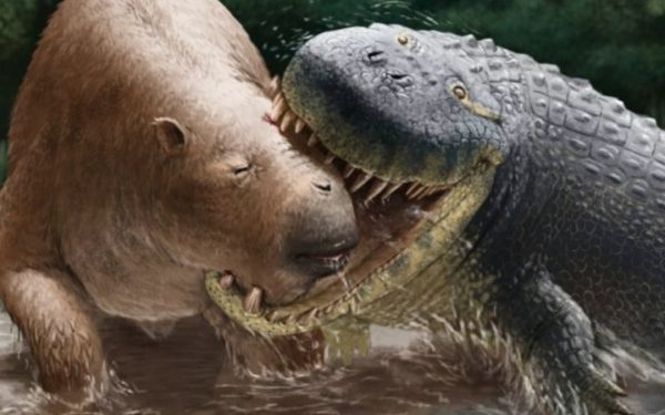 Rege preistoric: Crocodil cât o mașină, vâna rinoceri
