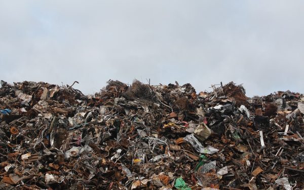 Firma de deșeuri, blocată pe 4 ha în Constanța