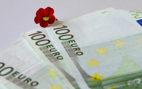 AFIR: 5 mil. EUR pentru flori și plante medicinale din 1 septembrie
