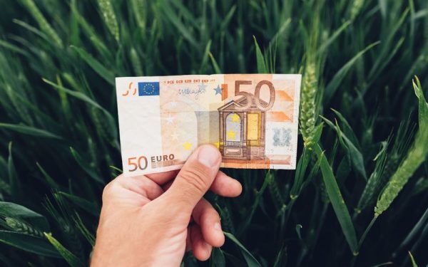 Fermieri: 50.000 EUR de la UE! Descarcă ghidul AFIR oficial