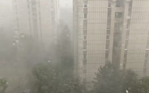 Furtună devastatoare în Brașov: copaci doborâți, garaje sub ape