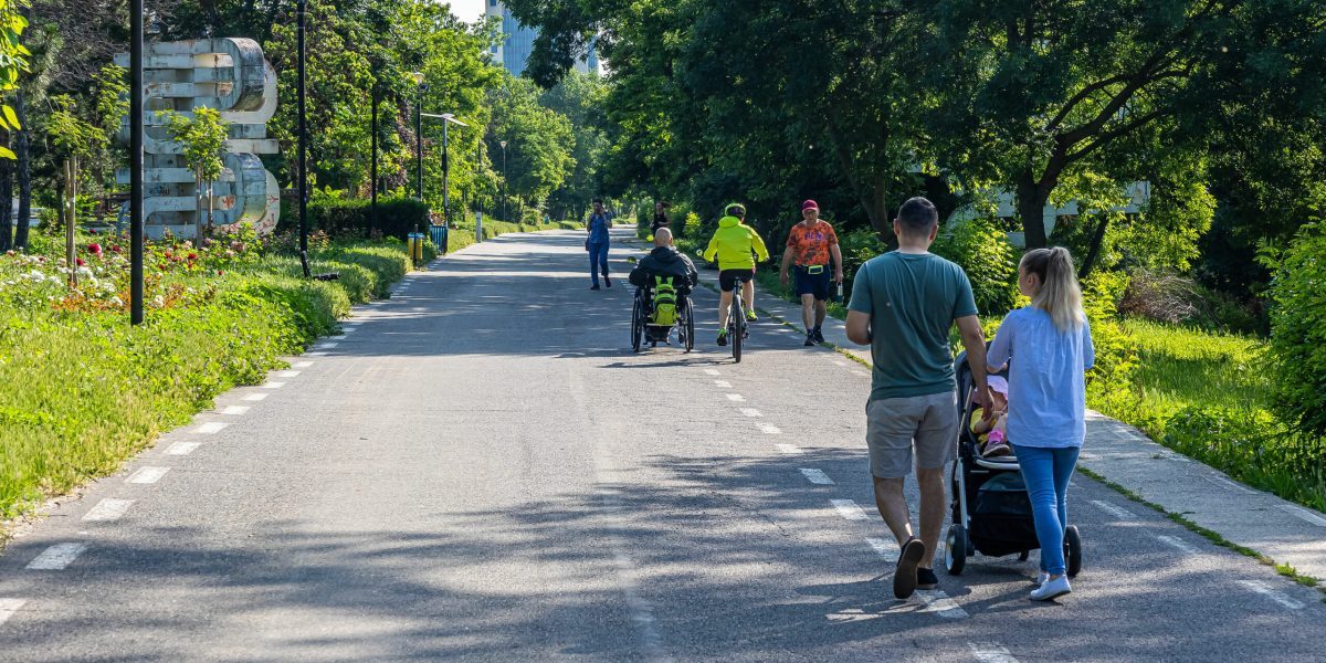 Galați: Buzoianu atacă tăierea a sute de copaci. Primăria să asculte