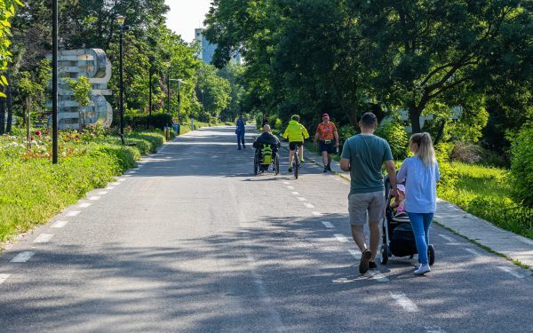 Galați: Buzoianu atacă tăierea a sute de copaci. Primăria să asculte