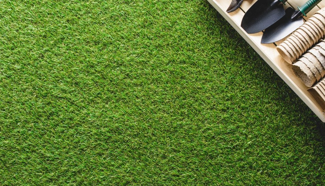 Gazonul galben de caniculă? Salvează-l rapid fără replantare