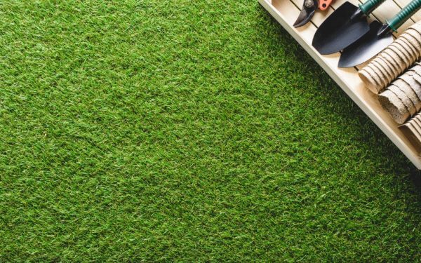 Gazonul galben de caniculă? Salvează-l rapid fără replantare