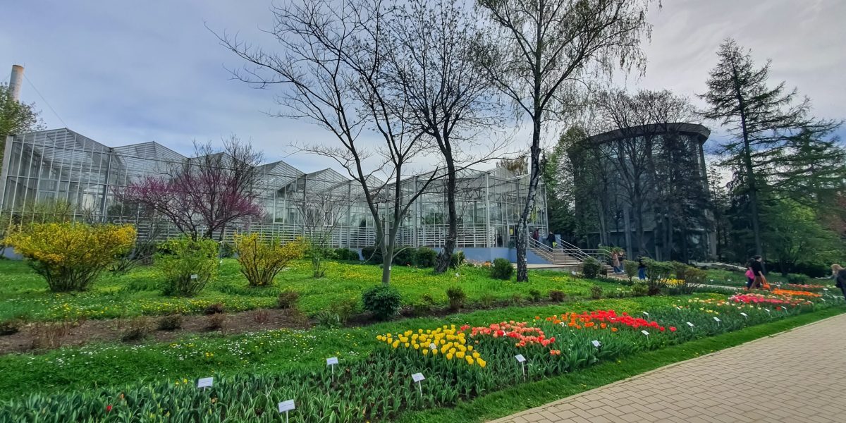 România, premieră botanică: prima grădină vieții