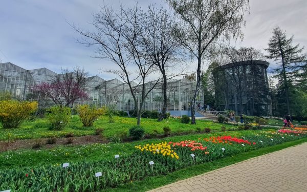 România, premieră botanică: prima grădină vieții