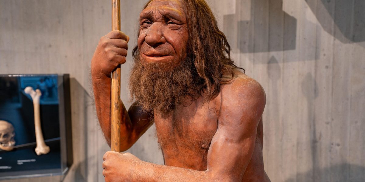 Neanderthalienii ne-au dat gena puiților de leu. Cine o are?