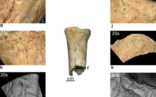 Neandertalienii, unelte din os: Premieră istorică în România