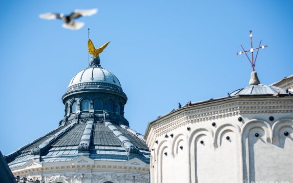 Patriarhia Română, apel urgent pentru victimele caniculei