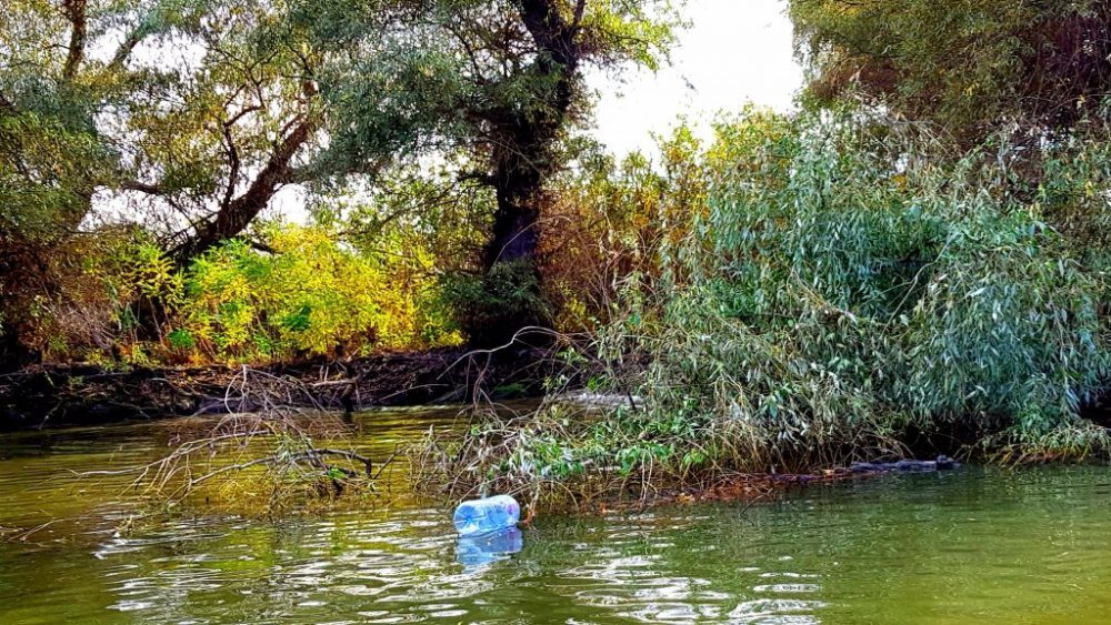 Horeca, disperată în Deltă: Canalul Uzlina, blocat!