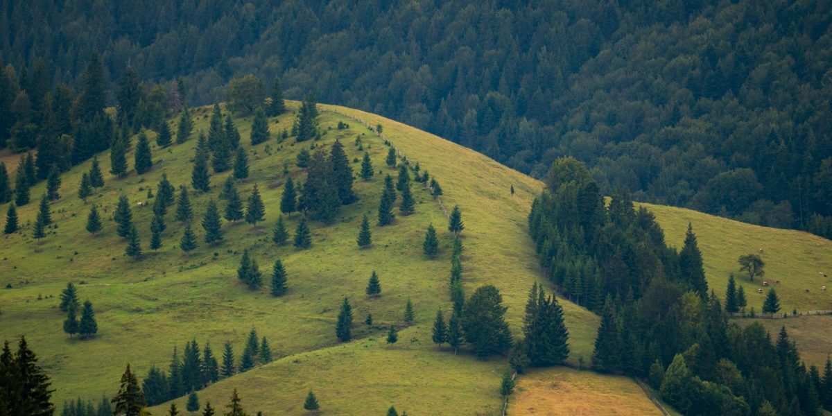 Legea Biodiversității: 972 mil. € vs. realitatea cruntă din România