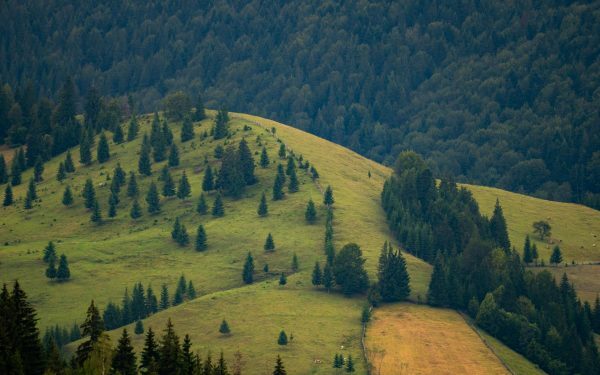 Legea Biodiversității: 972 mil. € vs. realitatea cruntă din România
