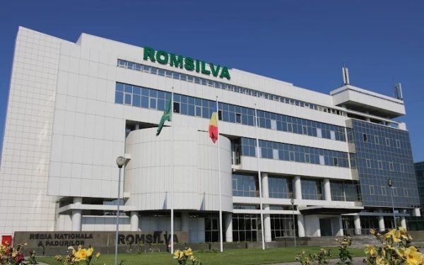 Romsilva, pe doi la contracte cu dedicație, după Moinești
