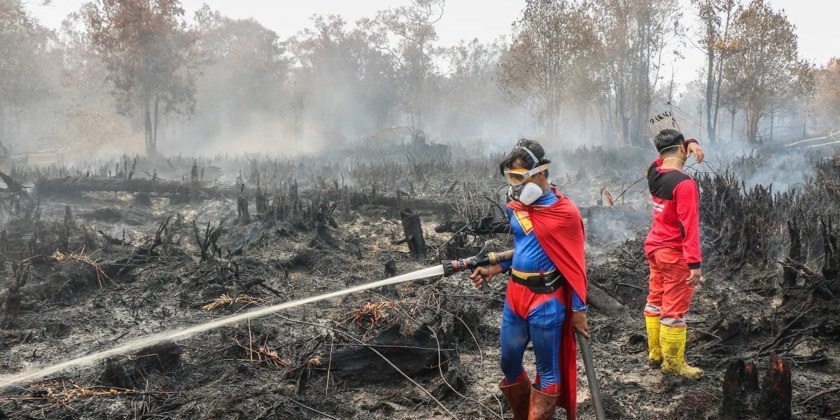 Erou în flăcări: Adolescentul „Superman” luptă cu focul în Borneo