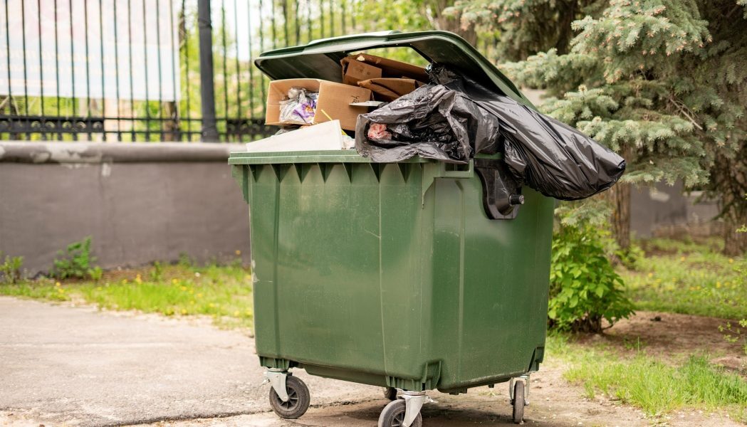 Scapă de muștele de la tomberon: Trucuri simple pentru zile călduroase