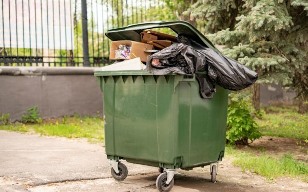 Scapă de muștele de la tomberon: Trucuri simple pentru zile călduroase