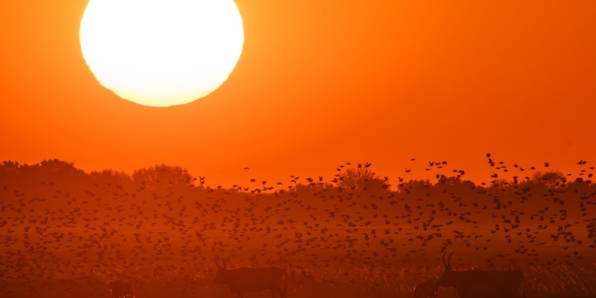 Pericol mâine: alerta meteo în trei județe