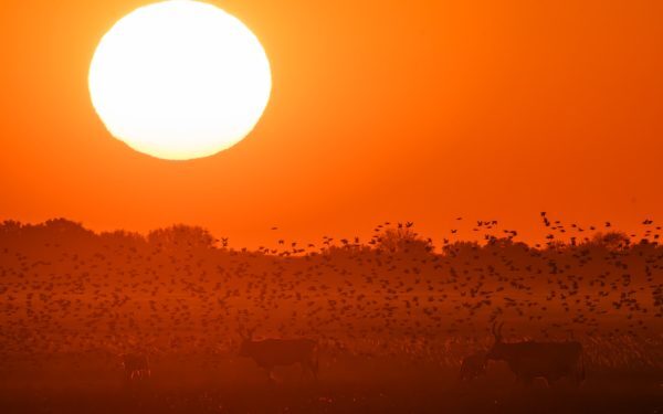 Pericol mâine: alerta meteo în trei județe