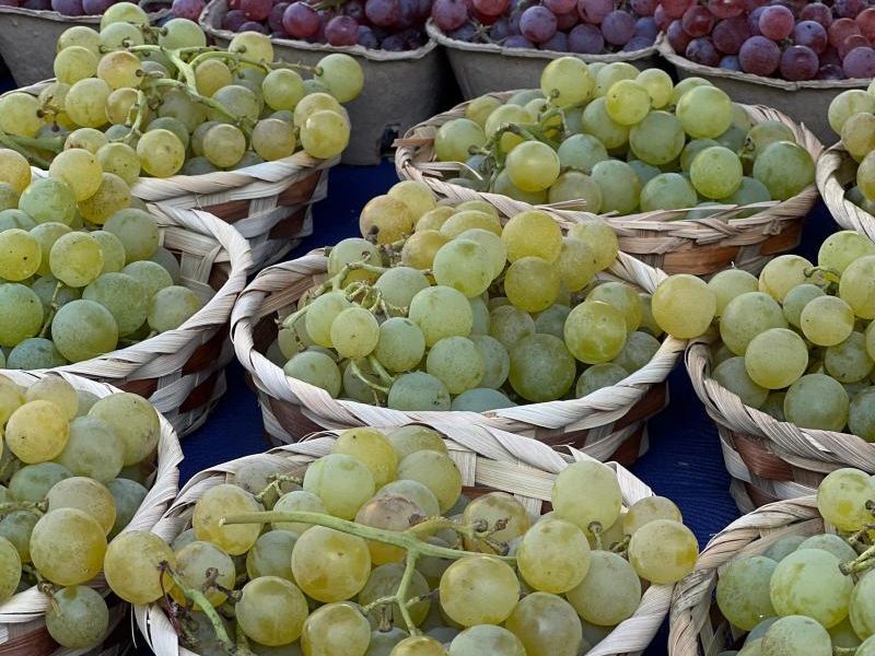 Cafeaua, strugurii, citricele, ținte UE pentru pesticide