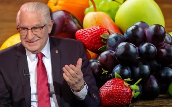 Ciurea: Fructul minune pentru creier, 10 lei/kg