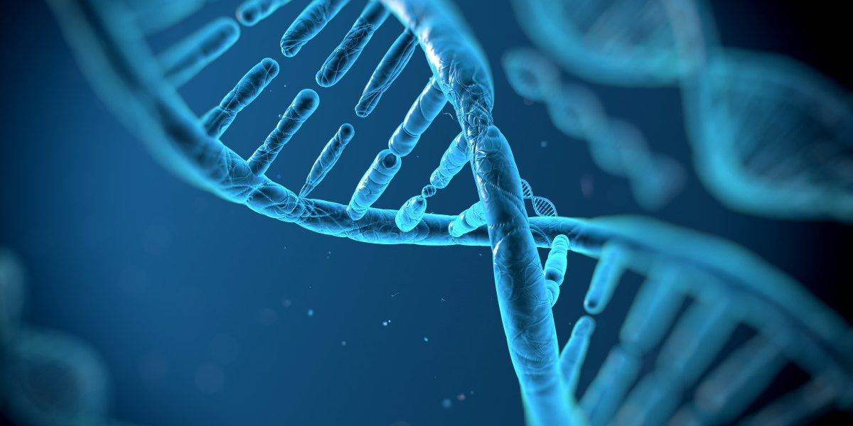 ADN-ul gunoi: Speranță nouă contra cancerului