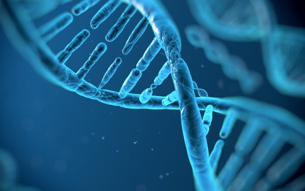 ADN-ul gunoi: Speranță nouă contra cancerului