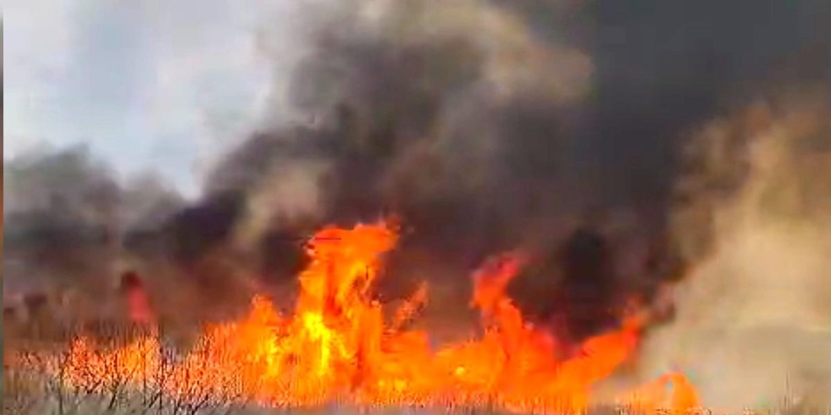 Vaslui: Incendiu masiv, 50 ha vegetație distruse