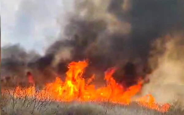 Vaslui: Incendiu masiv, 50 ha vegetație distruse