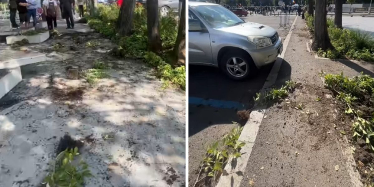 Primarul Sectorului 1: Distrugerile din Piața Victoriei, investigate penal