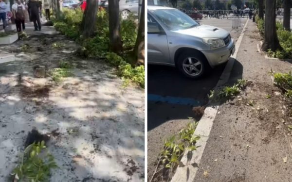 Primarul Sectorului 1: Distrugerile din Piața Victoriei, investigate penal
