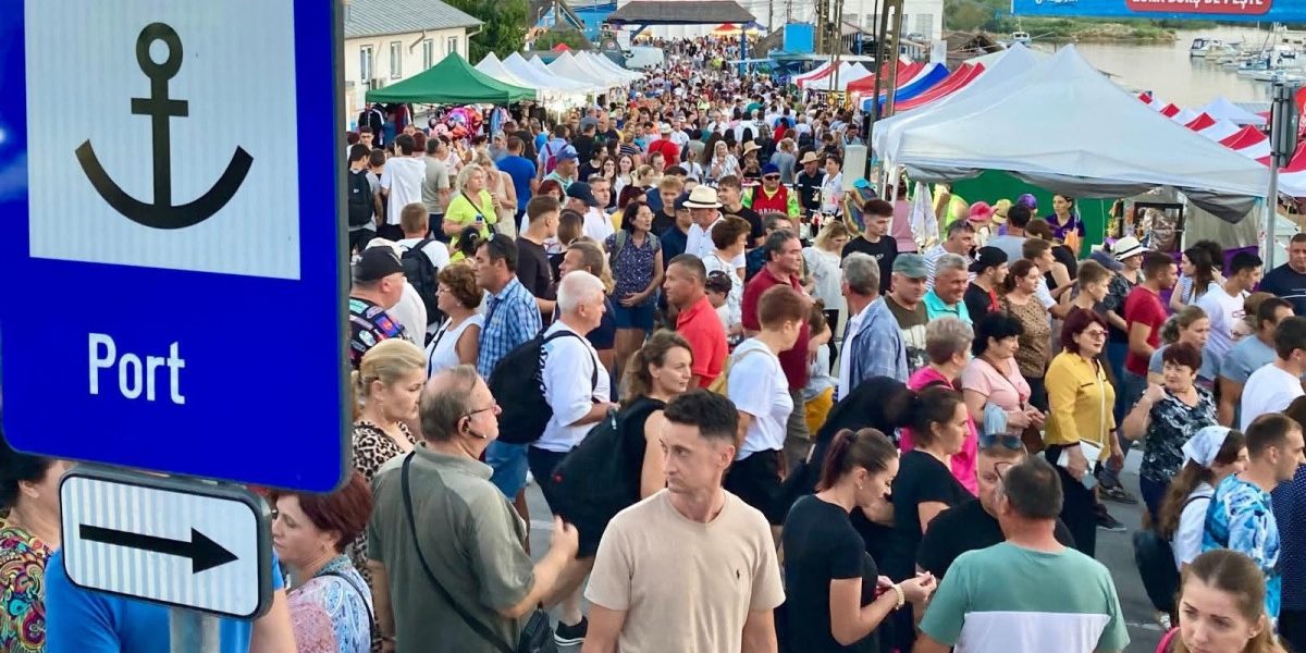 Deltă Păcălită: Autocare la Festivaluri de Borș Anulate. AI-ul, Vinovat