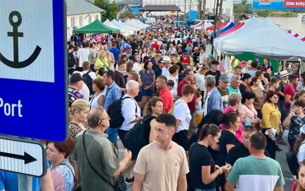 Deltă Păcălită: Autocare la Festivaluri de Borș Anulate. AI-ul, Vinovat