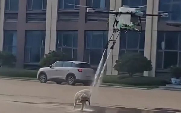 Dronă cu apă pe câine: De la glumă la scandal imens
