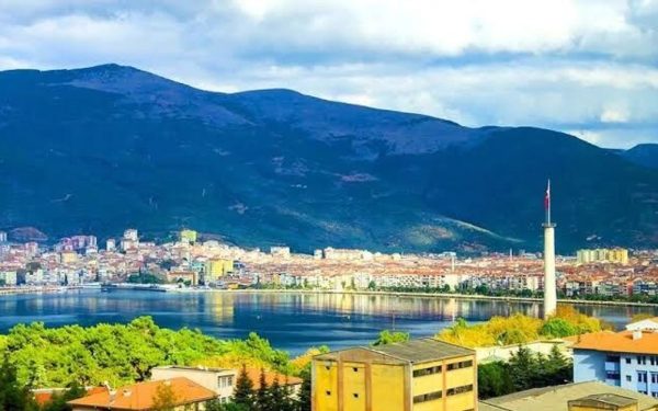 Bursa revine la viață săptămâna aceasta