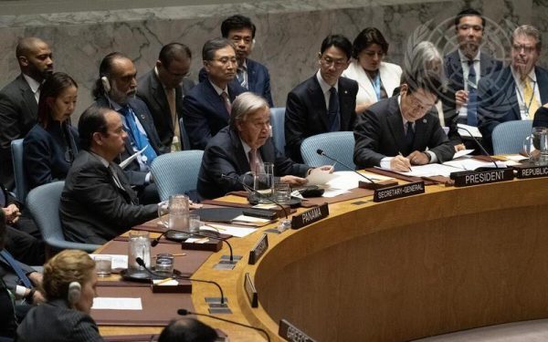 Liderii AI, audiați la Consiliul ONU
