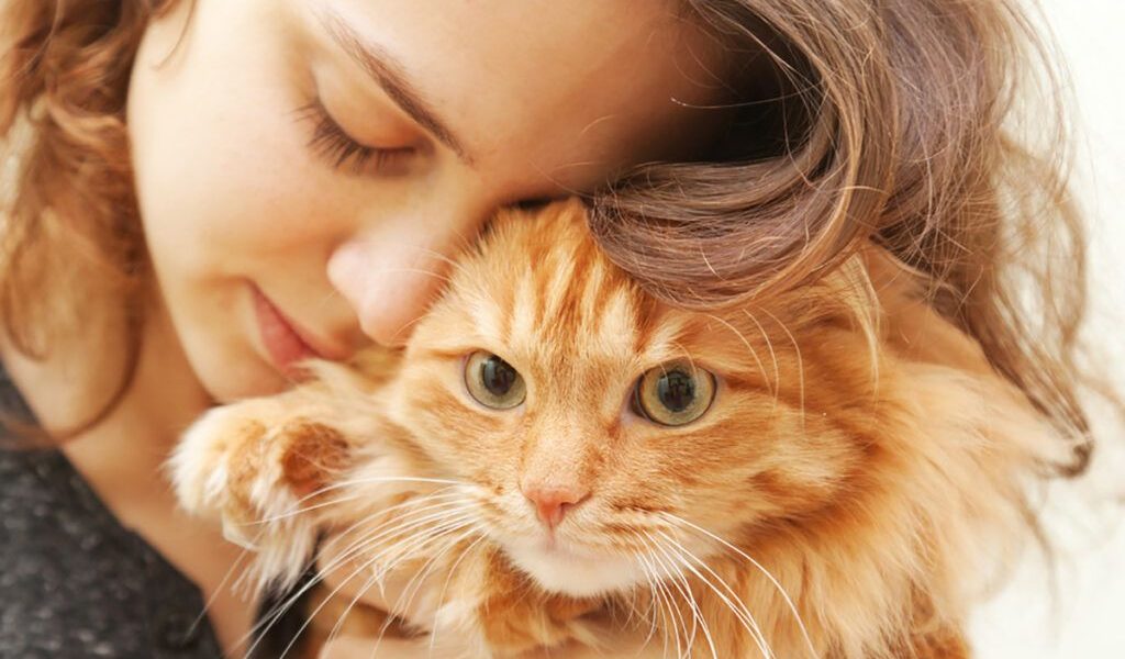 Pisica ta dezvăluie: psihologii spun totul despre iubitorii de feline