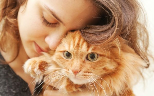 Pisica ta dezvăluie: psihologii spun totul despre iubitorii de feline