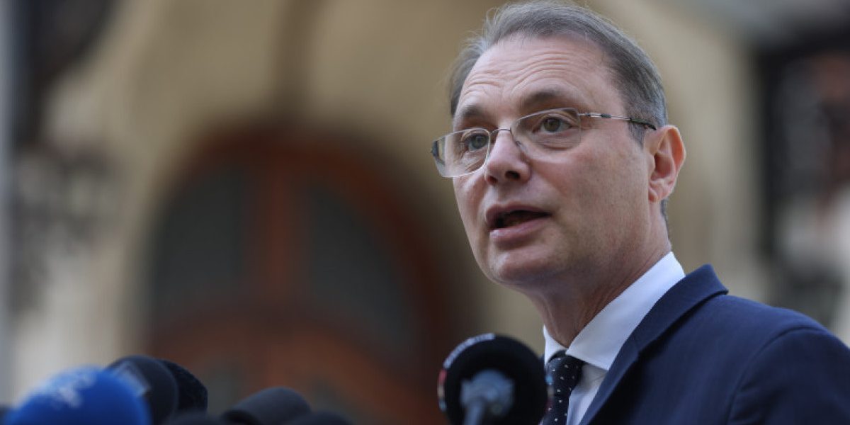 Nicolescu la Parlament: „Formula e neobișnuită”