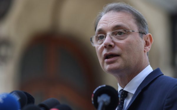 Nicolescu la Parlament: „Formula e neobișnuită”
