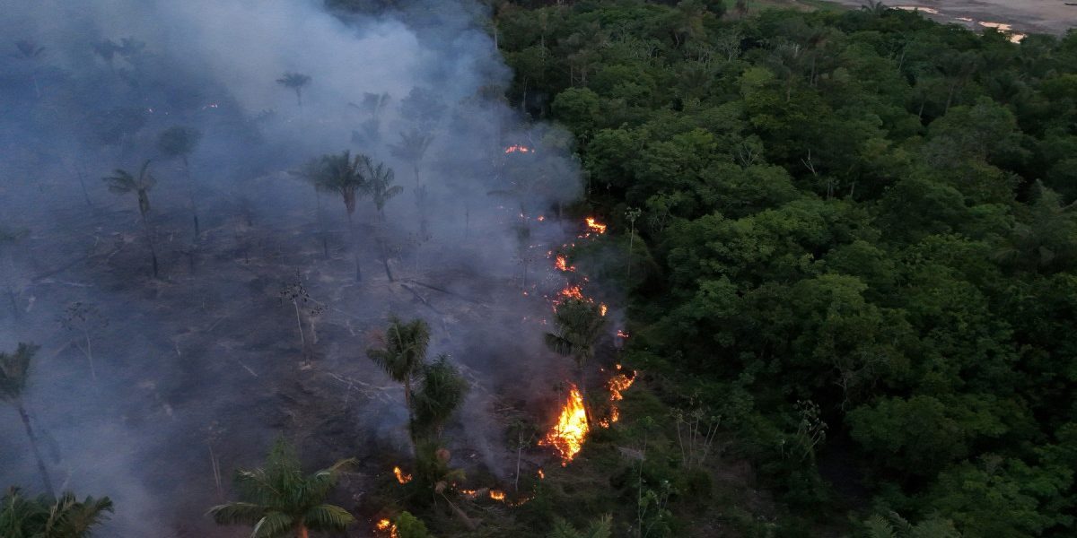Amazonul în flăcări: urgență, foc pus intenționat, El Nino agravează dezastrul