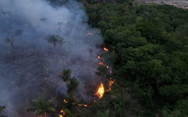 Amazonul în flăcări: urgență, foc pus intenționat, El Nino agravează dezastrul