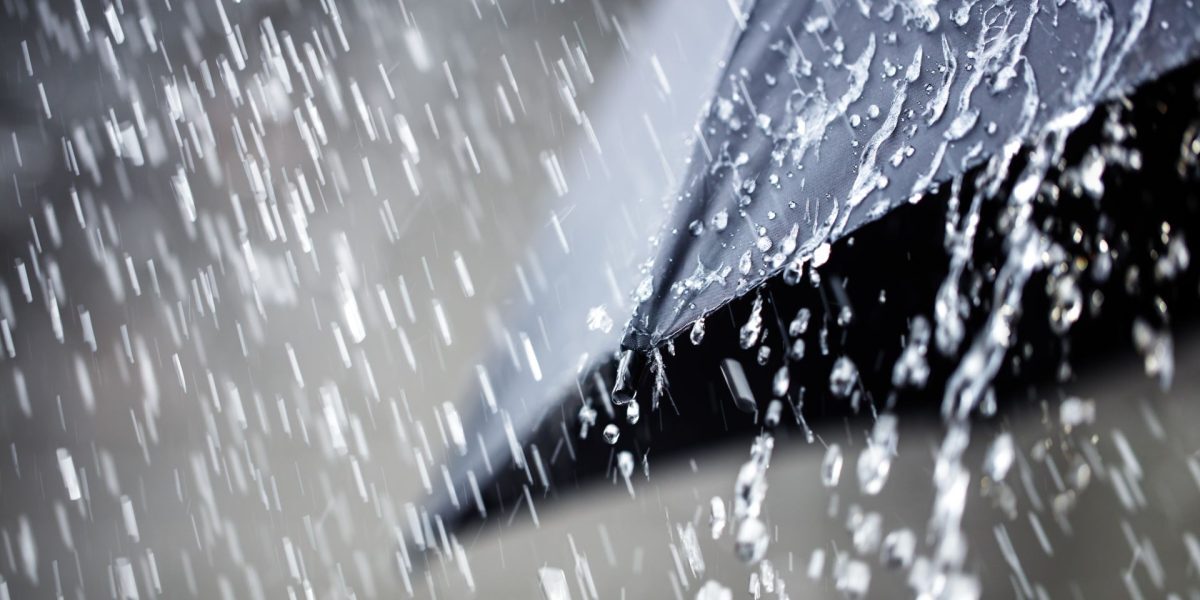 Oamenii, motorul schimbării climatice: dovezi clare